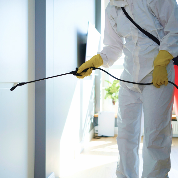 光触媒コーティング